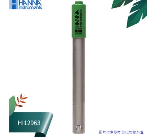 HI12963哈纳内置放大器和温度传感器钛电极机身酸度pH电极