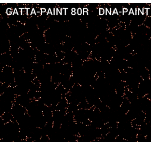 GATTA-PAINT 纳米尺