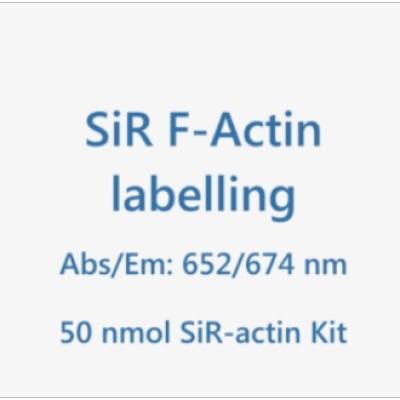 SiR-actin细胞骨架肌动蛋白试剂盒