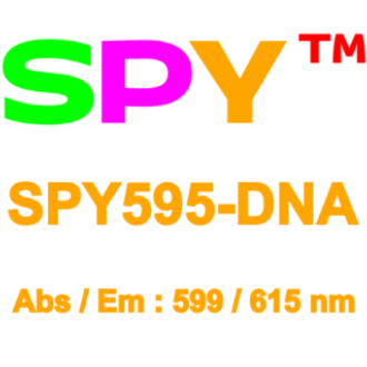 SPY595 活细胞DNA探针