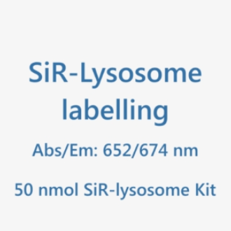 SiR活细胞溶酶体试剂盒