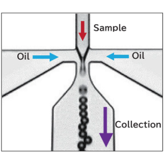 On-chip Droplet Generator 微液滴生成装置