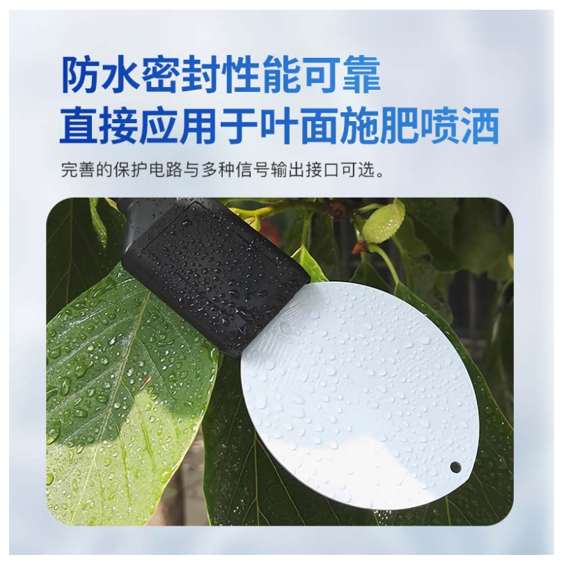 叶面湿度传感器