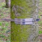 树木生长测量仪