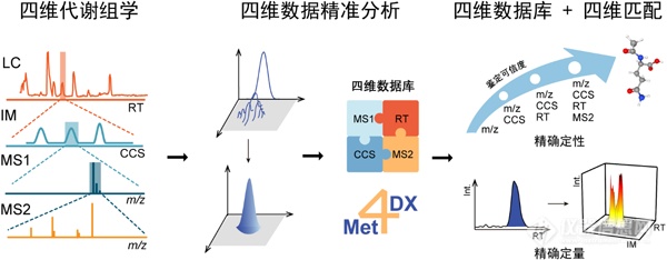 上海有机所开发出四维代谢组学精准分析技术Met4DX