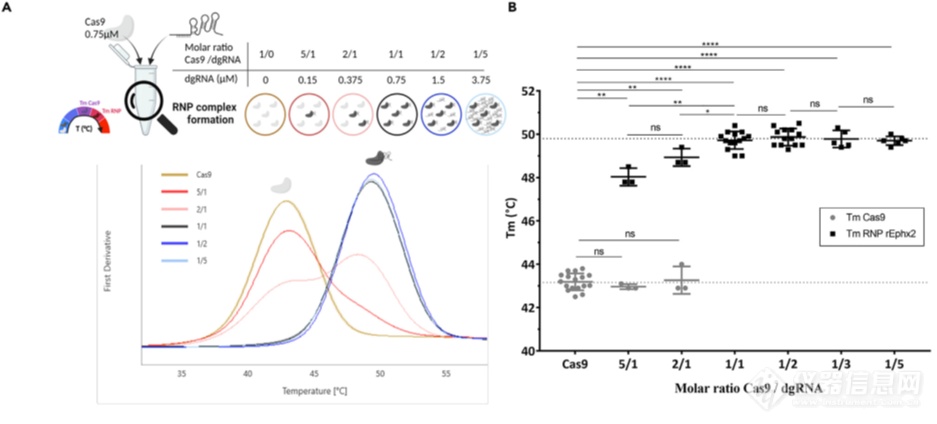 文献解读 | 使用无标记TSA方法评估CRISPR-Cas9 RNP复合物形成的最佳条件