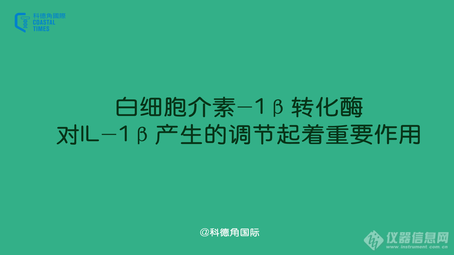 白细胞介素-1β转化酶对IL-1β产生的调节起着重要作用