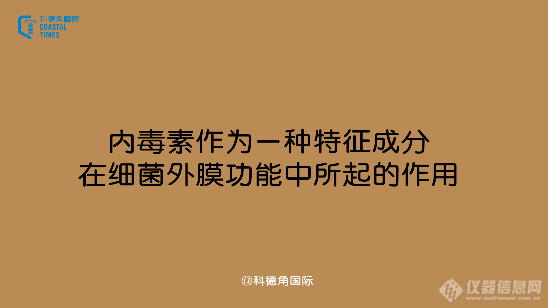 内毒素作为一种特征成分在细菌外膜功能中所起的作用