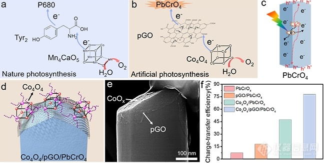 大连化物所发展光催化中仿生电荷传输层的可控组装策略