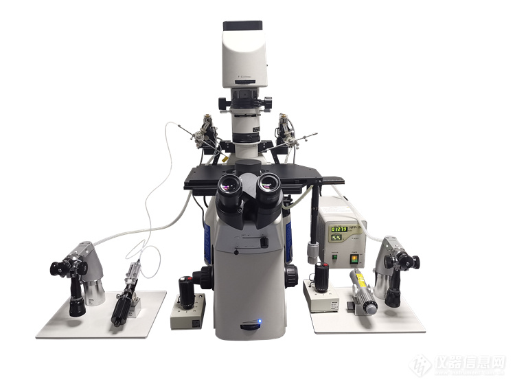 耐可视荧光显微镜,耐可视生物显微镜NIB900系列