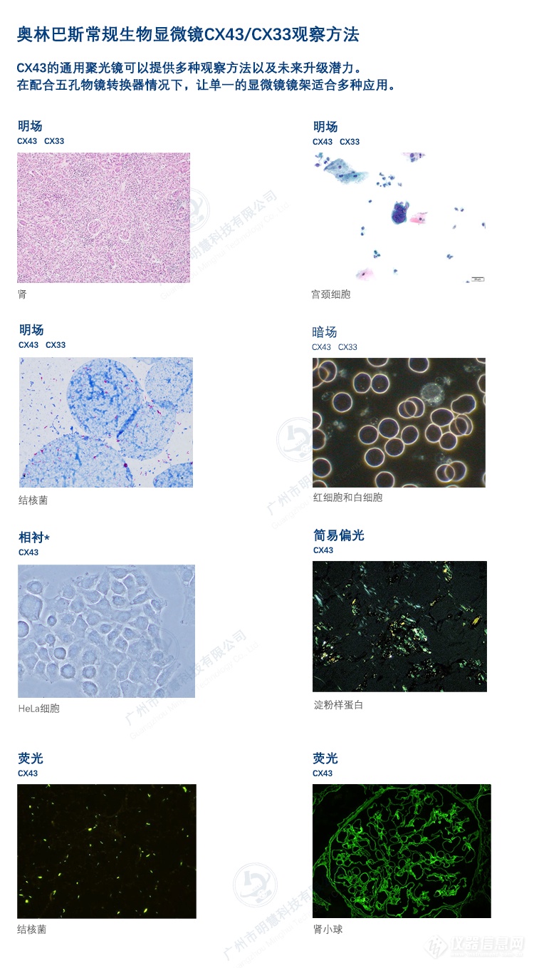 奥林巴斯常规生物显微镜CX43/CX33观察方法2-广州市明慧科技有限公司