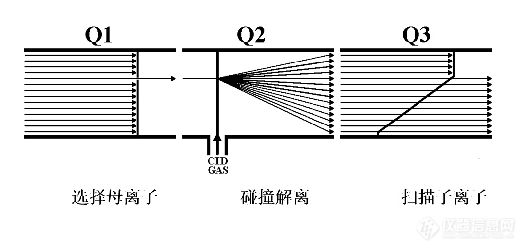 聚浪成潮 以待花开|质谱国产替代之路有多长？——皖仪分析事业部总经理程小卫