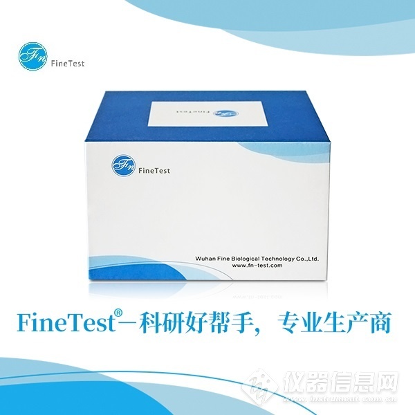 Human GIP ELISA Kit|人胃泌素抑制肽(GIP)ELISA试剂盒