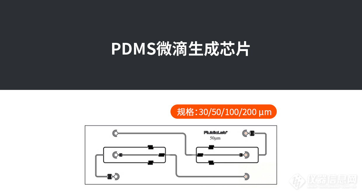 PDMS-chip-.jpg