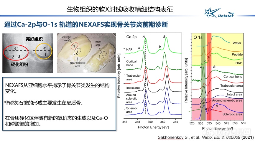 软X射线吸收谱在材料科学研究中的应用