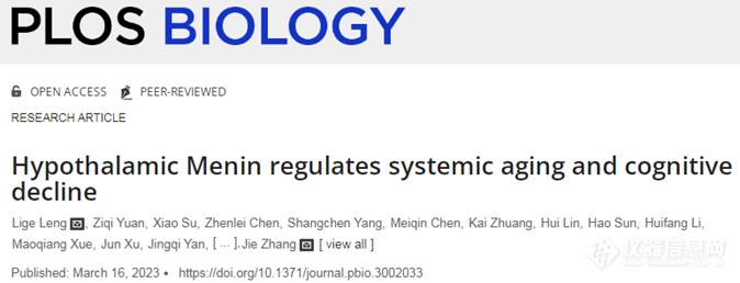 通过食补这种氨基酸就可以逆转衰老？发现驱动衰老的关键蛋白！