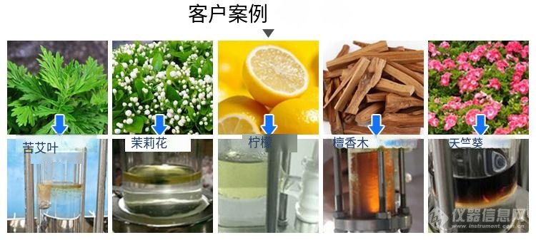 plant oil extraction (3)_译图.png