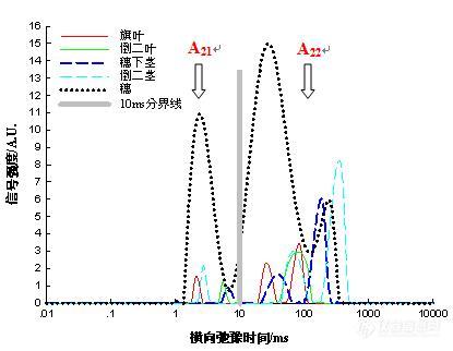 低场核磁技术如何监测活体植物生长过程中体内的水分状态及迁移