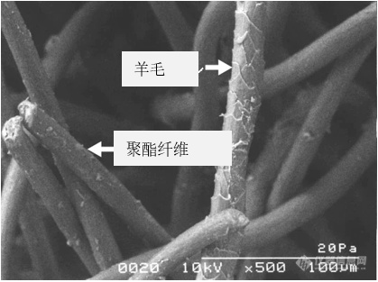 一起探索电子显微镜下的奇妙微观世界吧！（第五期）