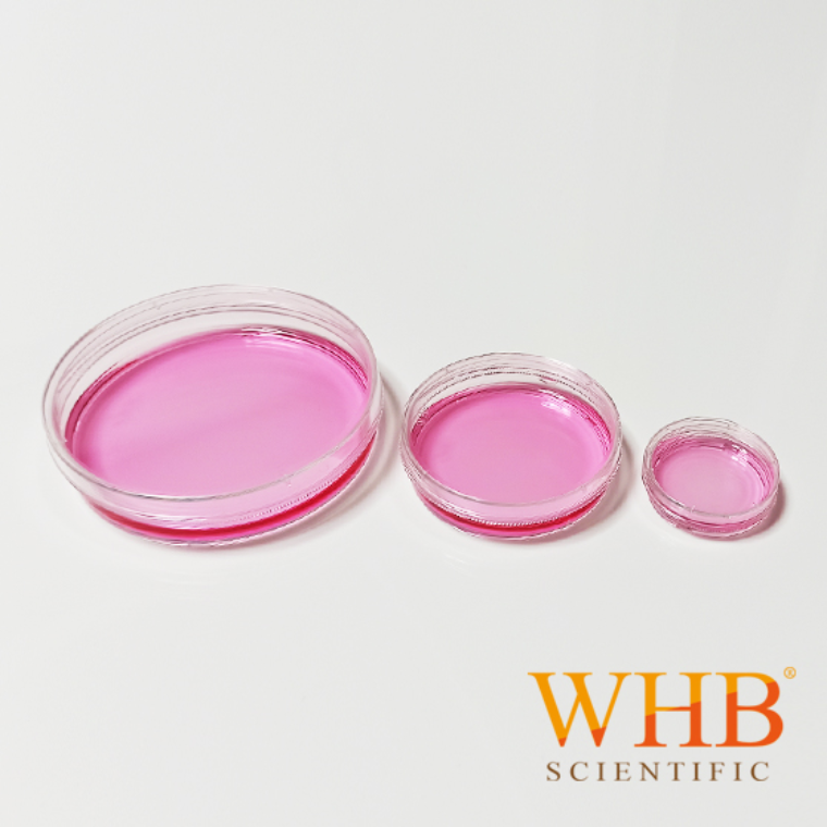 TC处理透明多规格细胞培养皿，易握边，灭菌