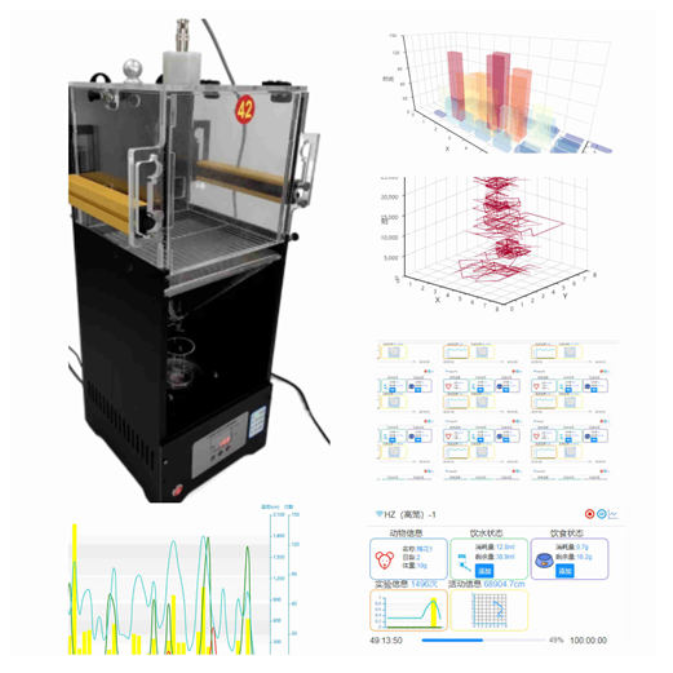 小动物代谢与行为监测系统