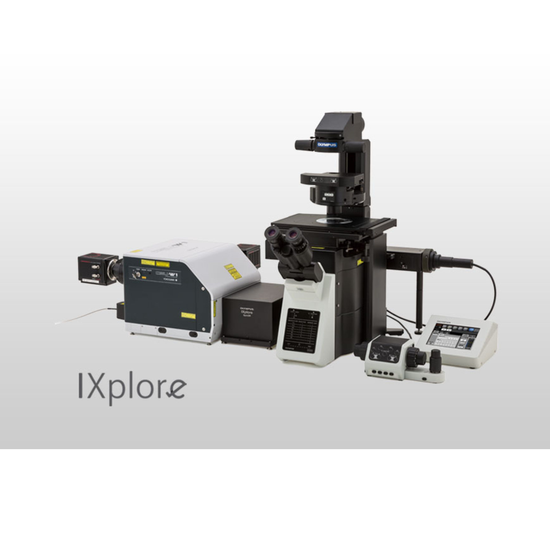 全新转盘式共聚焦超分辨显微镜