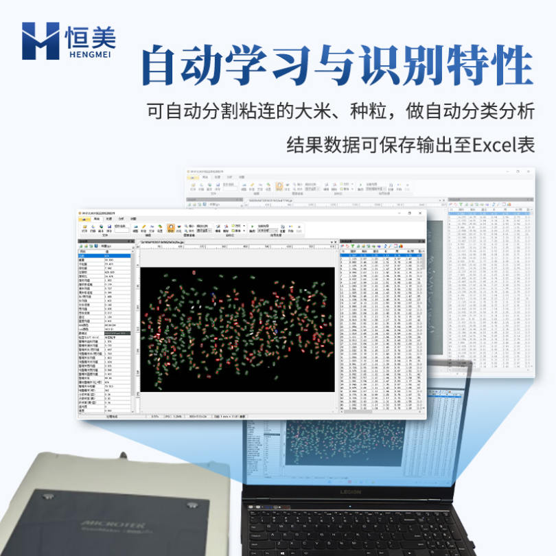 大米外观分析系统