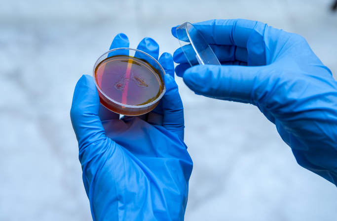 国家药典委员会发布关于9305中药中真菌毒素测定指导原则草案的公示