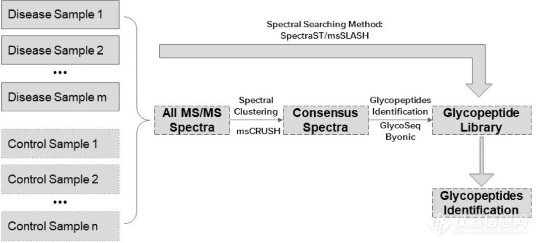 GlycoSLASH：用谱聚类和谱库搜索从多个相关的LC-MS/MS数据集同时鉴定糖肽