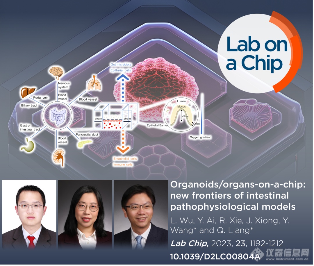 清华大学梁琼麟团队: 类器官/器官芯片-肠道病理生理学模型前沿进展