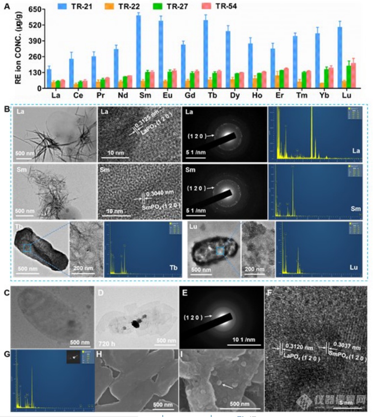 《AM》清华大学刘凯研究员、张洪杰院士实现高纯稀土产品主动生物合成