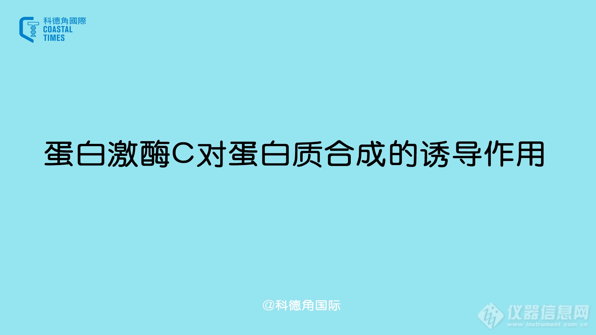 蛋白激酶C对蛋白质合成的诱导作用