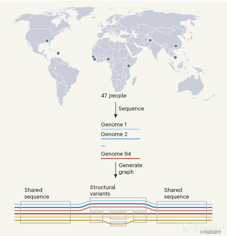 中国学者领衔，联合119位学者，人类“泛基因组”成果登上Nature封面！