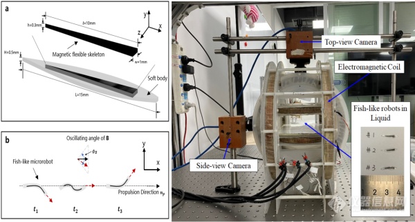 深圳先进院提出针对微型仿鱼磁驱动机器人的复杂运动学习控制方法