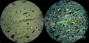 单偏光镜下观察，左侧是没加偏光，右侧是加偏光的