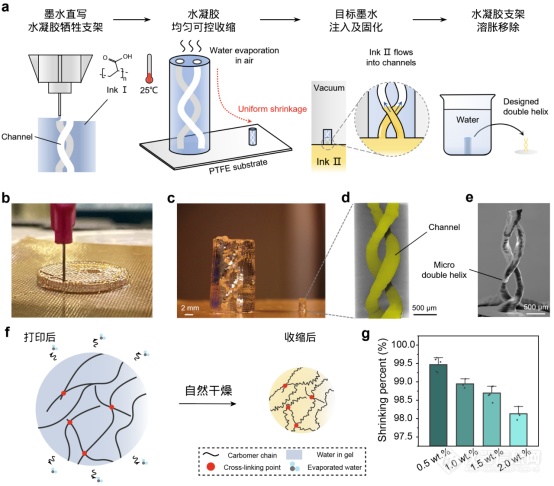 中国科大在提升3D打印水凝胶结构分辨率研究方面取得重要进展