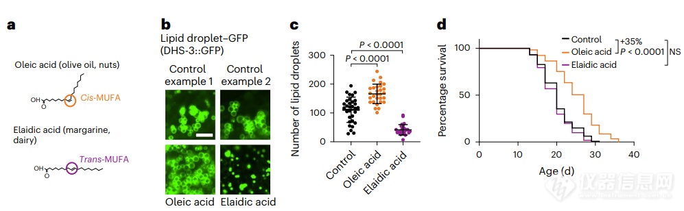 Nature子刊：延寿35%，这些脂肪对健康有益，还能延长寿命