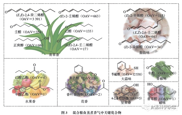 院士团队|同时蒸馏萃取结合GC-MS分析酿酒五粮原料蒸煮香气成分分析