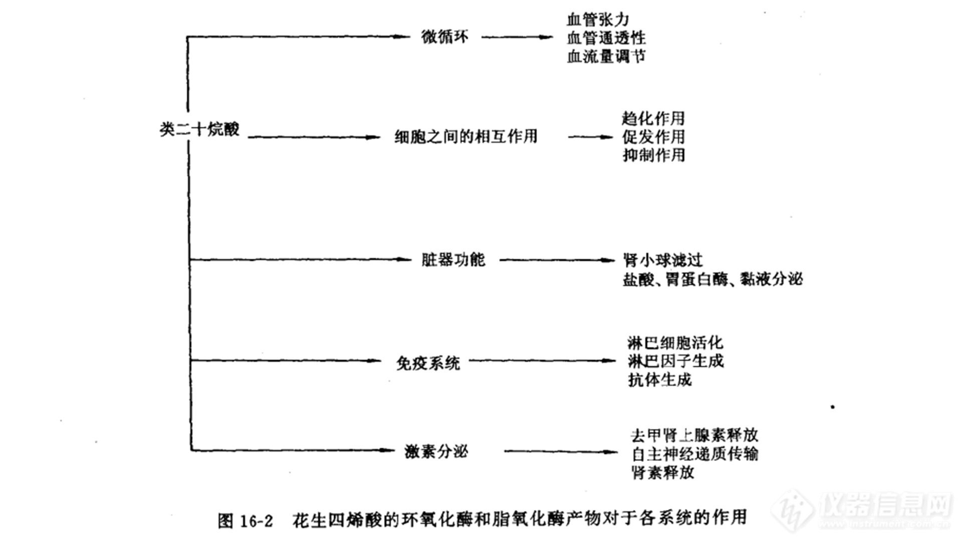 花生四烯酸的环氧化酶产物