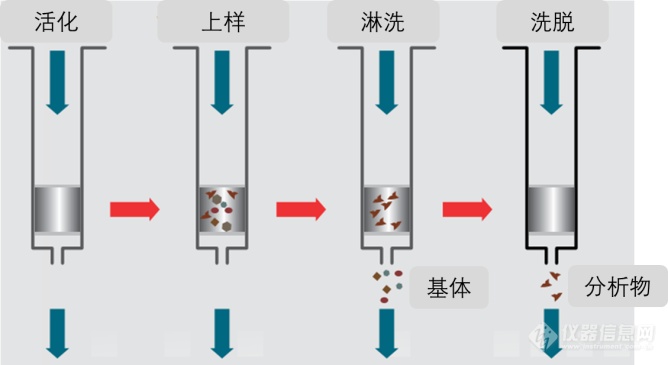 谱育科技