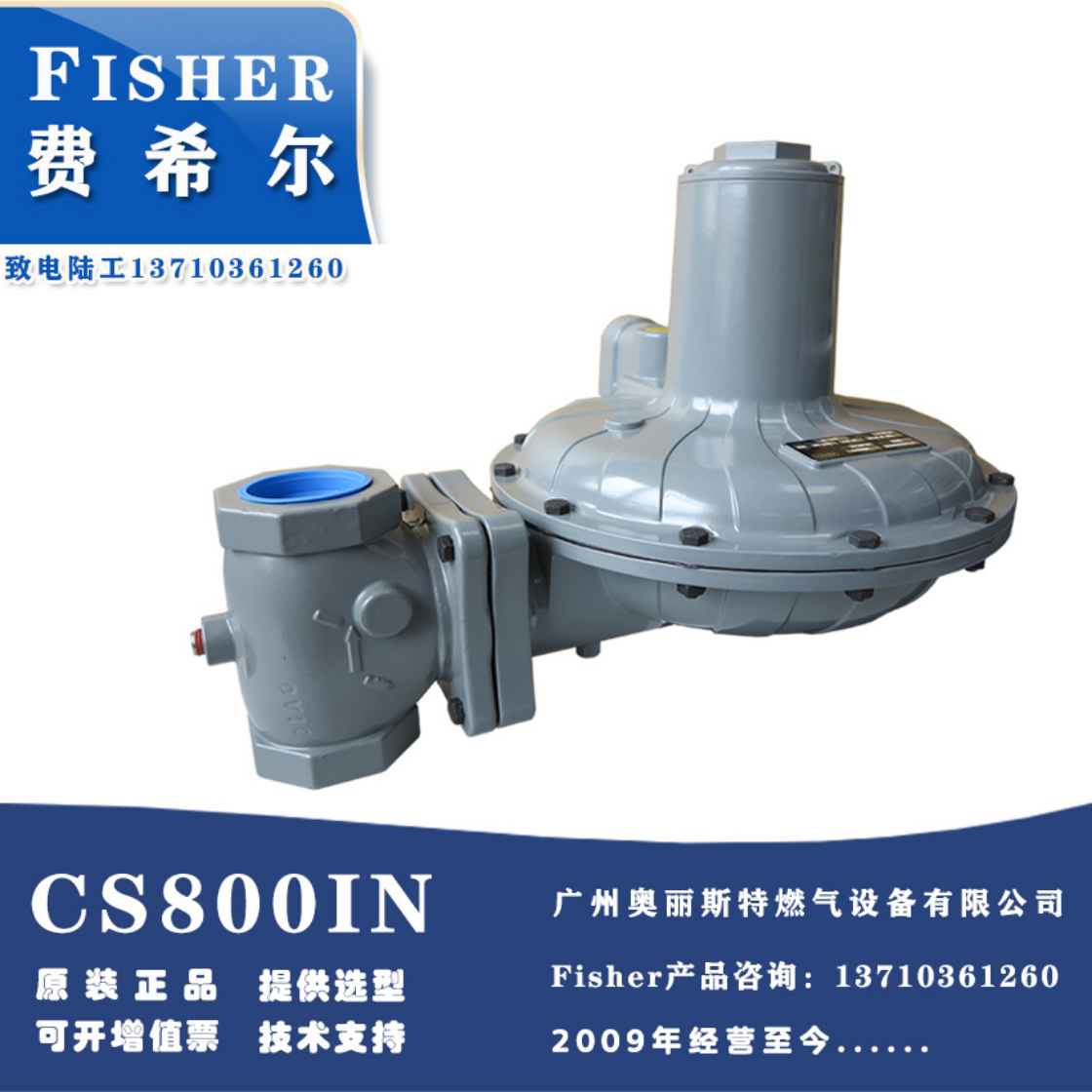 Fisher费希尔进口CS800IN/DN40/DN50进口调压器正品原装