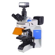 安徽荧光显微镜MF43-N