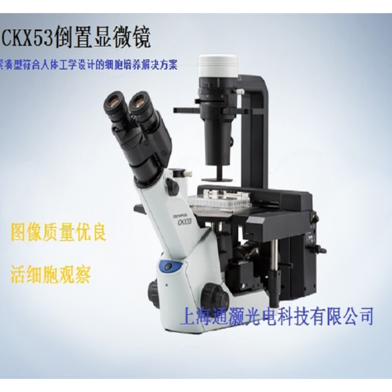 OLYMPUS奥林巴斯CKX53倒置相差显微镜代理