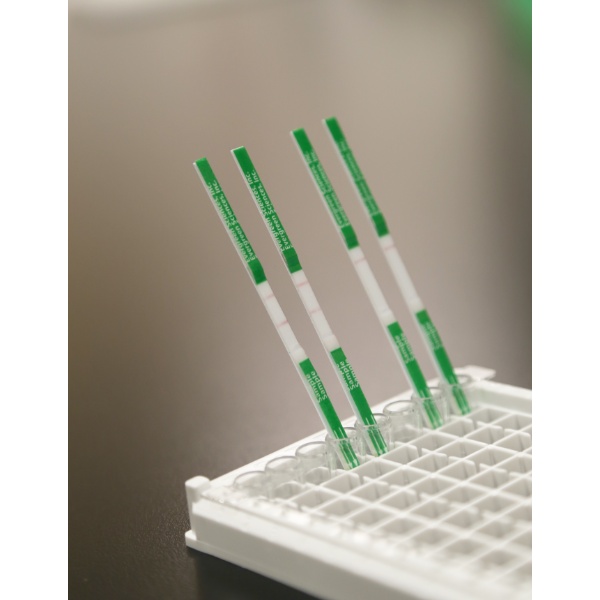 三聚氰胺ELISA检测试剂盒