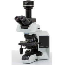 奥林巴斯研究级生物显微镜BX53
