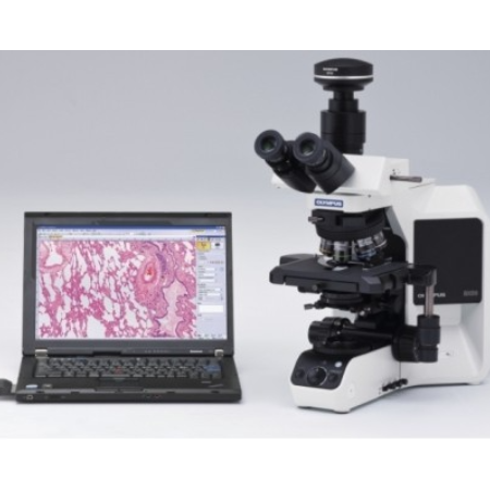 奥林巴斯研究级生物显微镜BX53