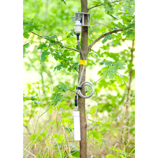 树木茎秆生长变化测量仪、树木茎秆生长变化传感器