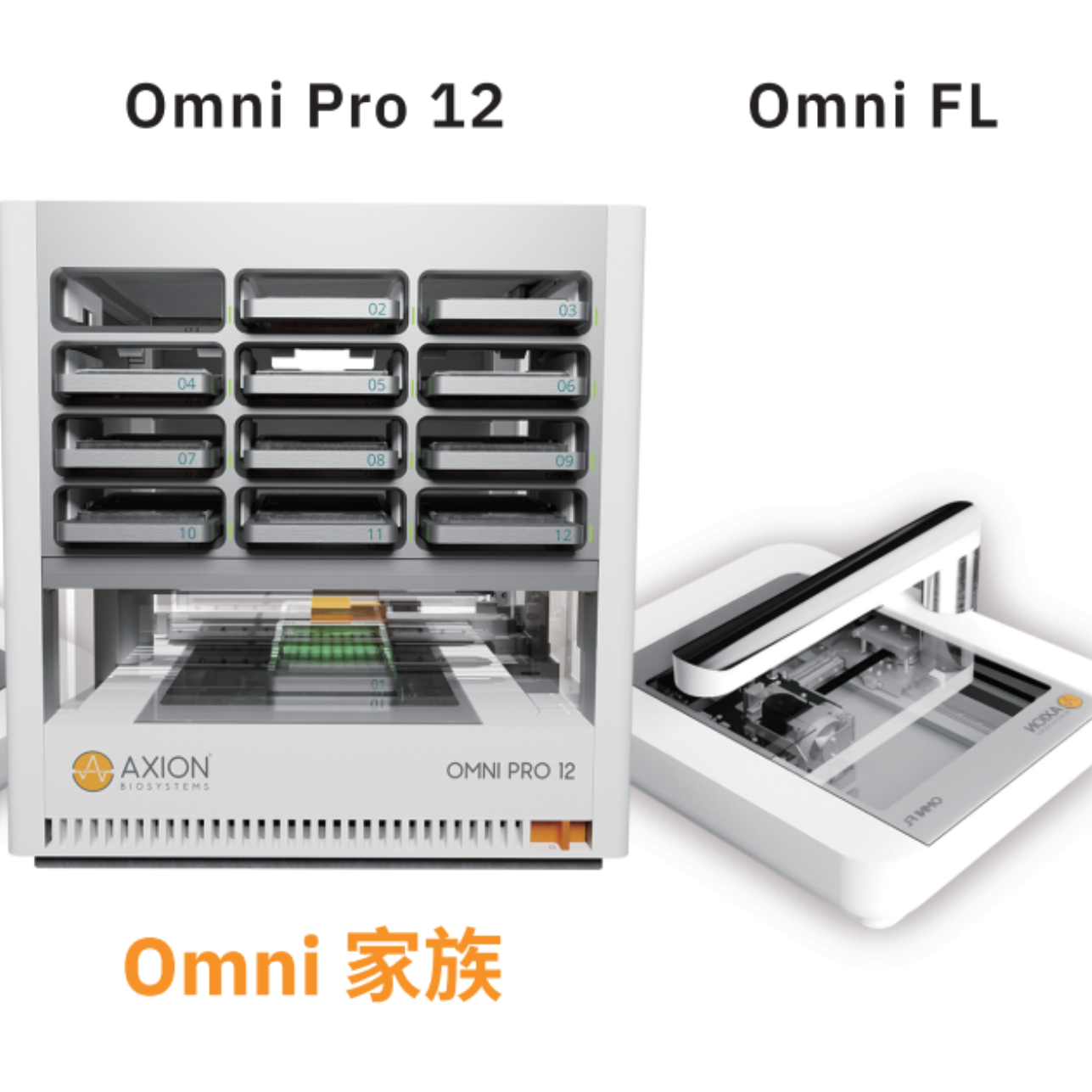 Omni BR/FL 活细胞实时成像系统 - 划痕实验/伤口愈合分析