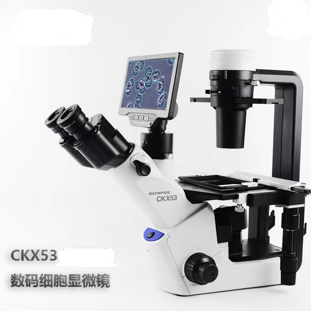 OLYMPUS奥林巴斯CKX53倒置相差显微镜代理