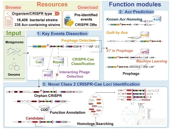 合肥研究院研发出面向CRISPR的综合分析预测工具及平台
